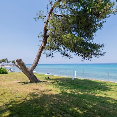 Andromeda Beachfront Experience Villa Pefkochori