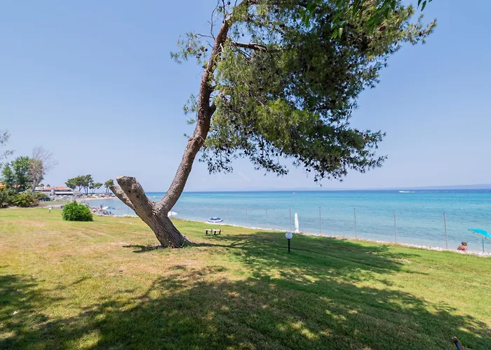 Andromeda Beachfront Experience Villa Pefkochori